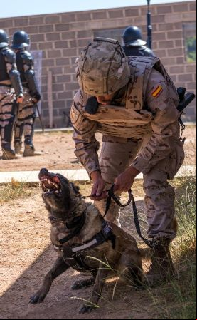 perros de seguridad y combate de la FUPRO