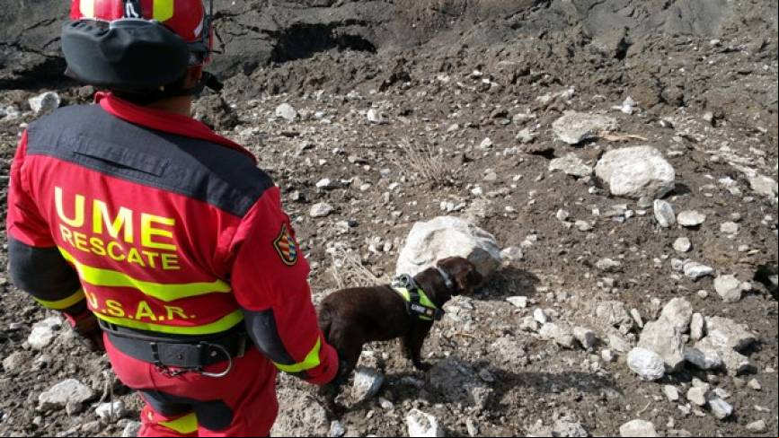 El uso de los perros de rescate es otra capacidad que utiliza, como tras el terremoto de Nepal, cuando se usaron los especializados en rescate de v