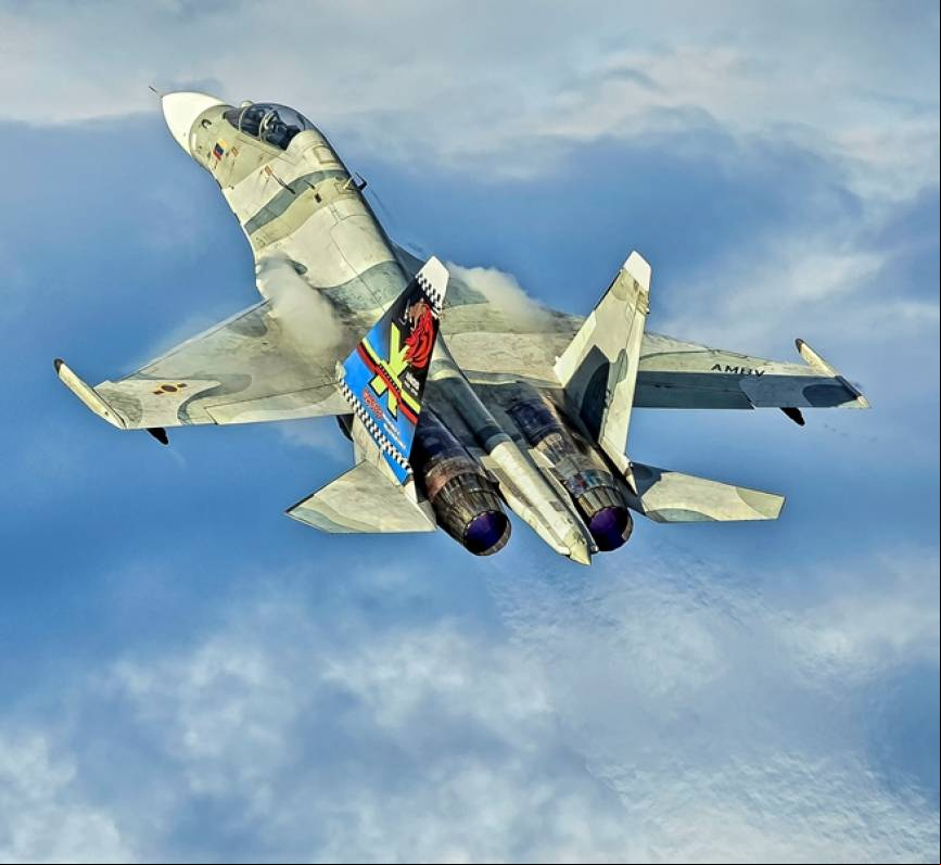 Sukhoi Su-30 MkII exhibiendo el arte en el tim
