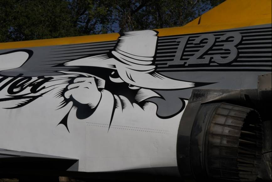 Uno de los detalles pintados a ambos lados del fuselaje es
