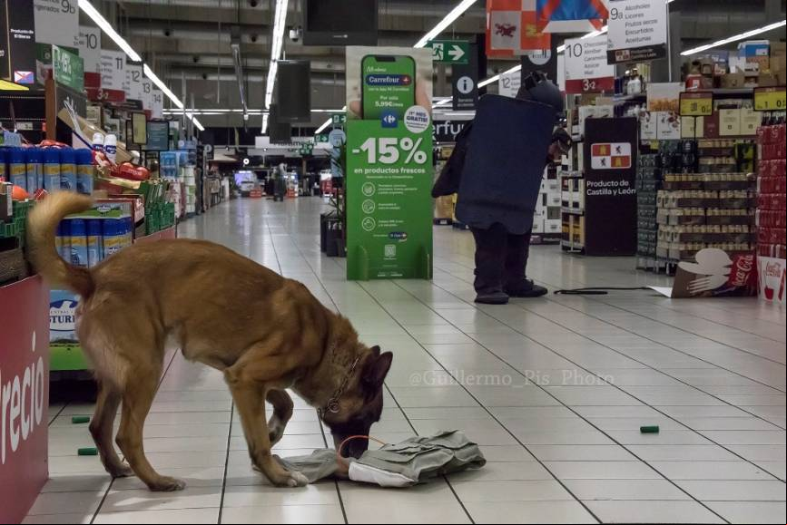 El TEDAX apoyado por la unidad canina, confirma la presencia de un chaleco y una bolsa de deporte con alg