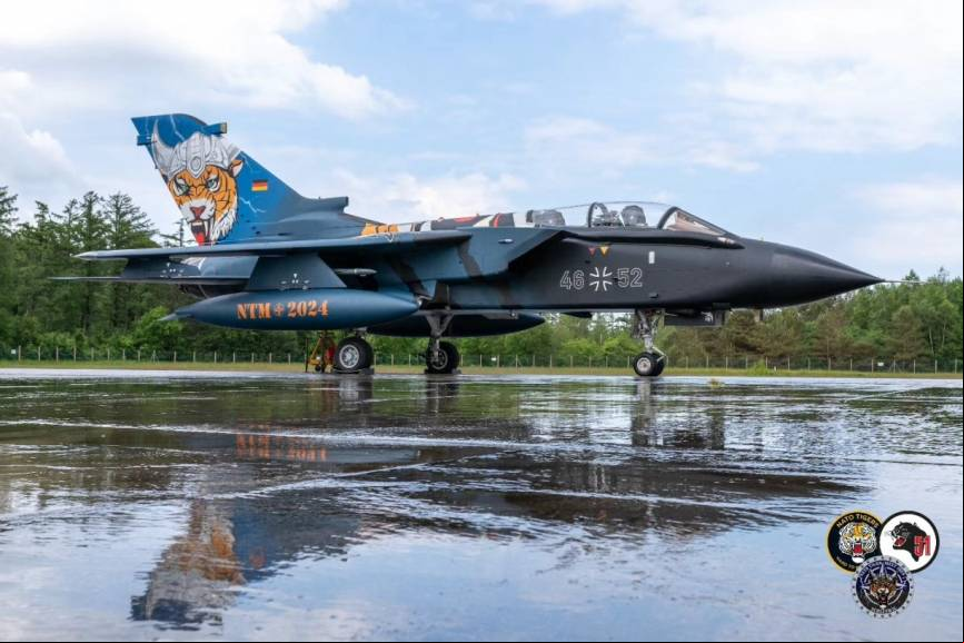 Otro de los aviones decorados presentes en el Tiger Meet 2024, era este
