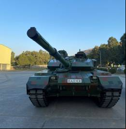 Carro de combate Haider (autor)
