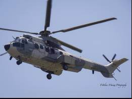 El helic